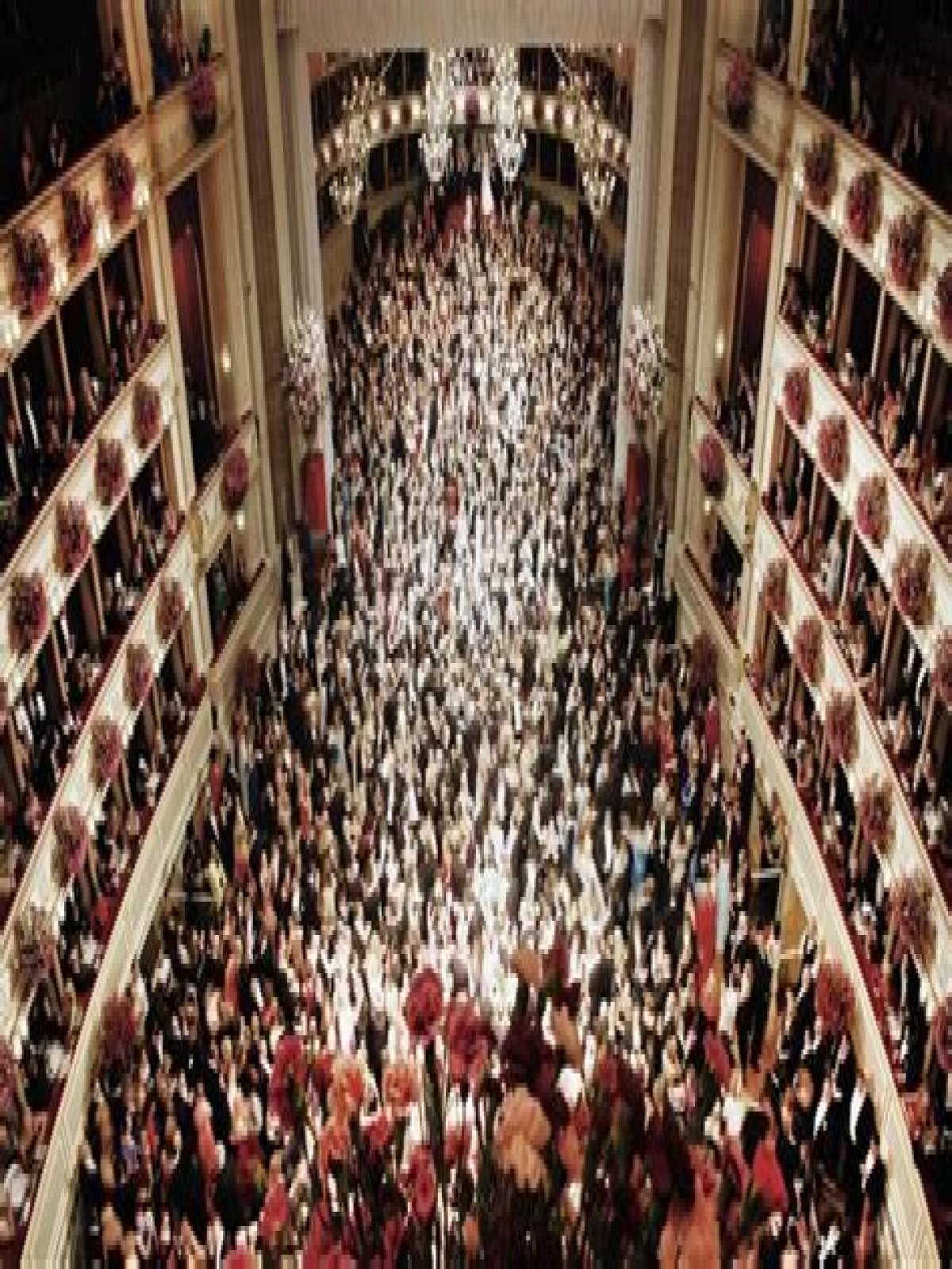 Can anyone go to the Vienna Opera Ball?
