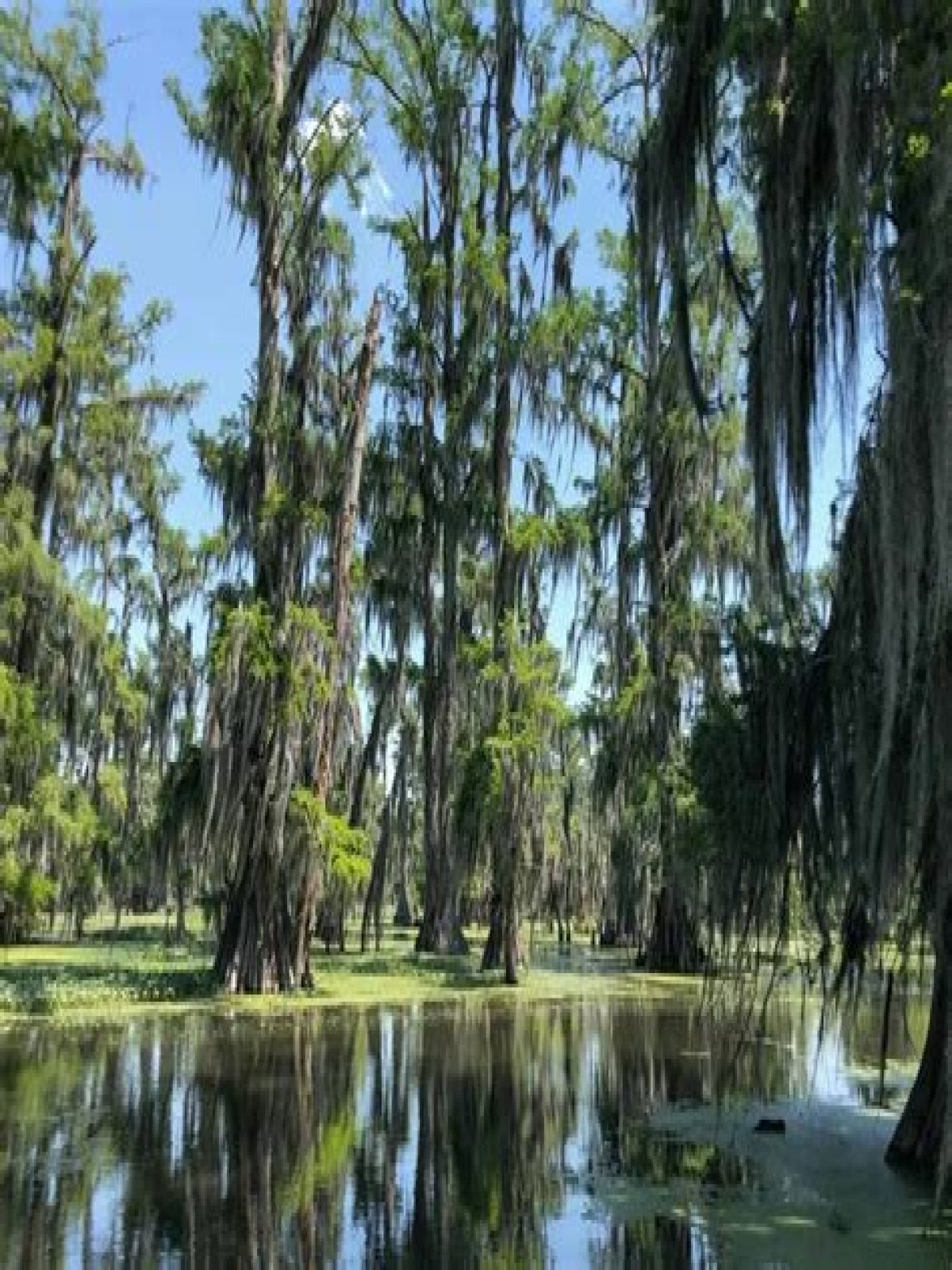 Can you visit the Bayou in Louisiana?
