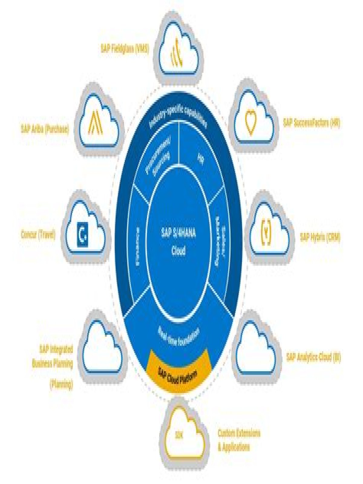 Does SAP have cloud?