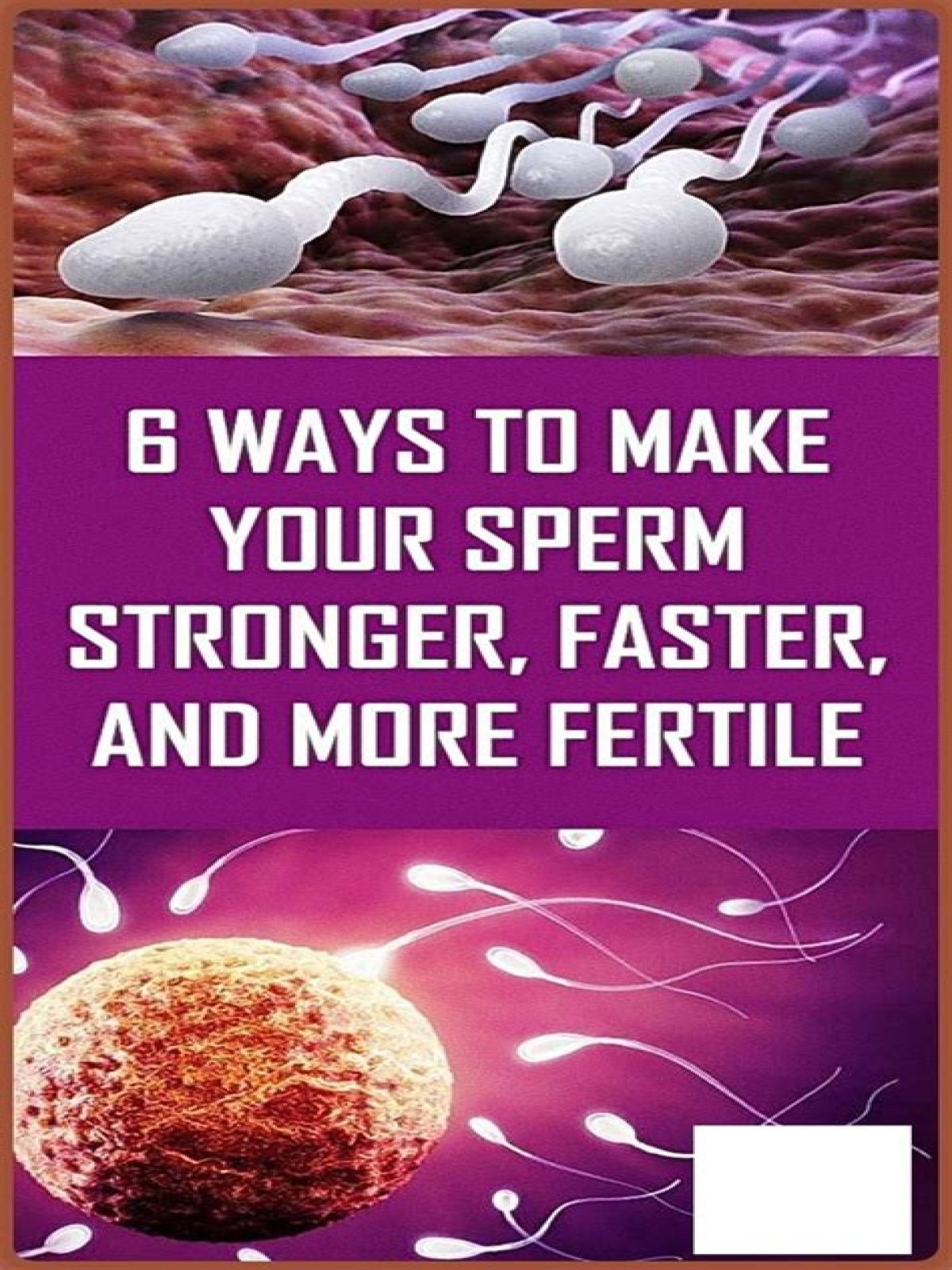 How can I regain sperm fast?