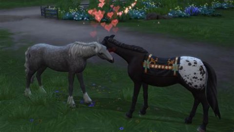 How do you get your Sims to breed horses?