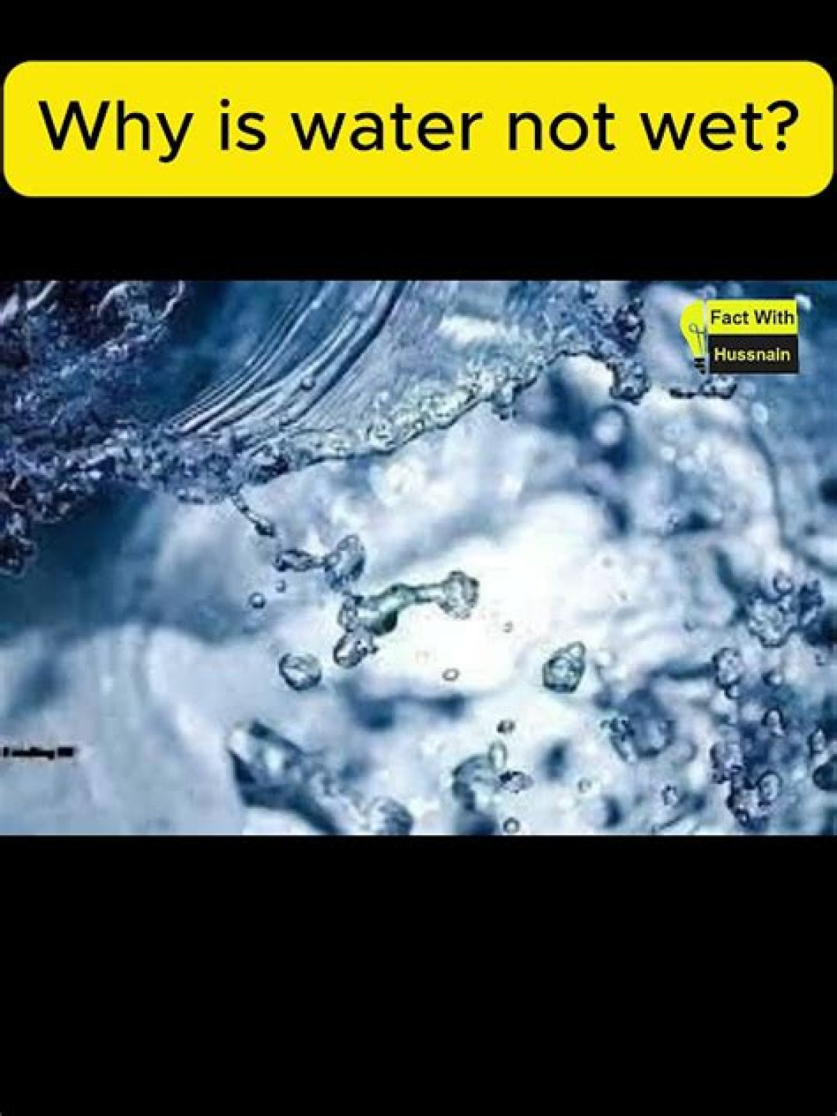 how is water not wet