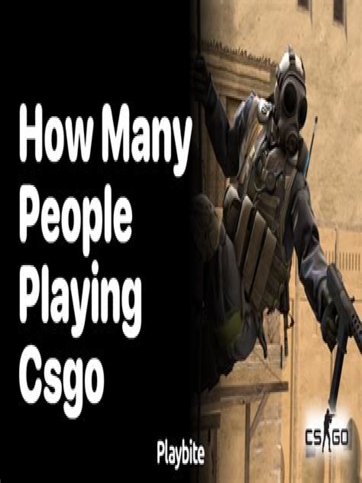 How many people are playing csgo