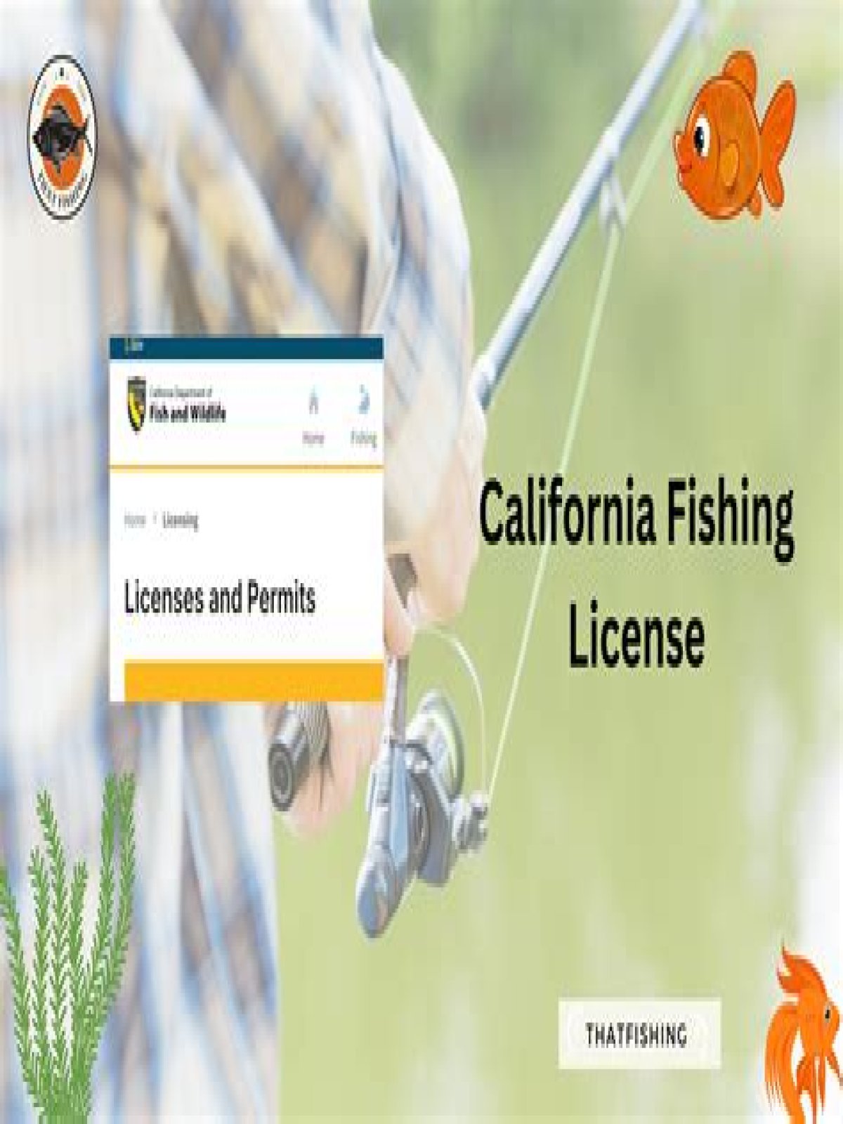 How much does a California fishing license cost?