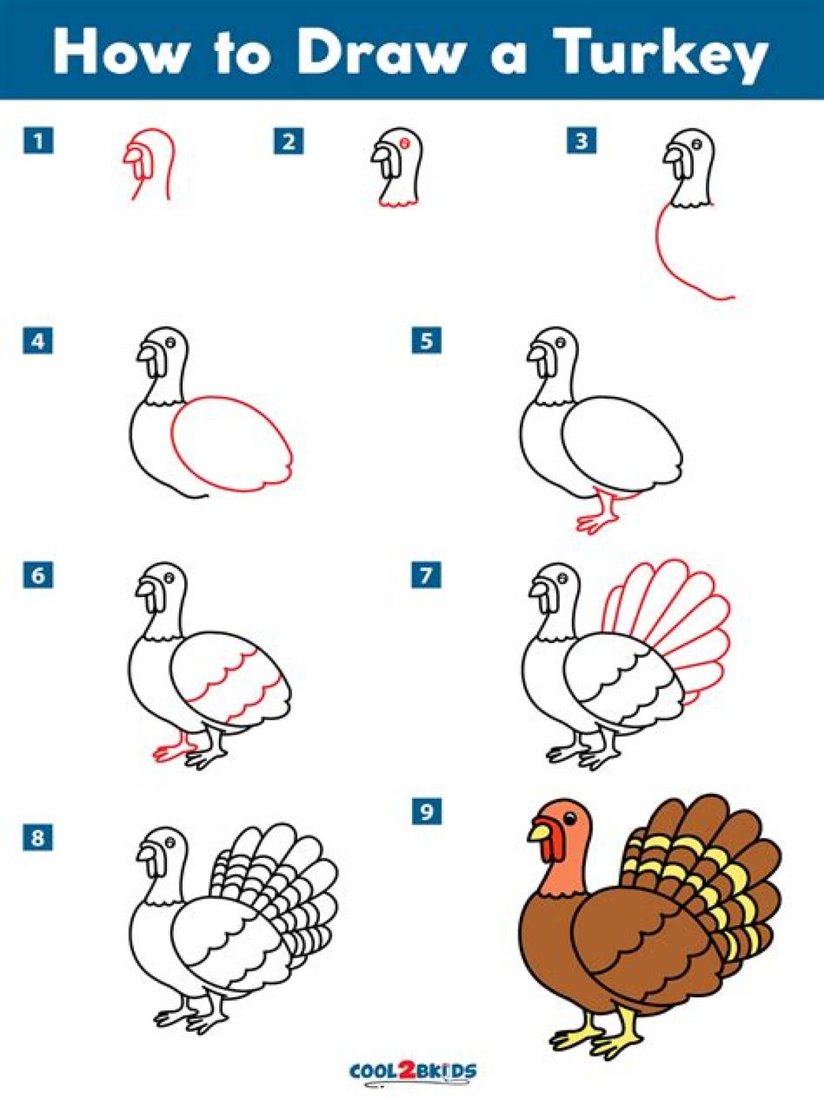 How to Draw a Turkey