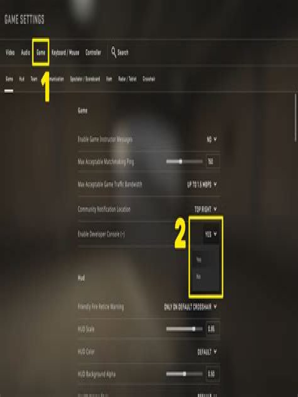 How to open csgo console