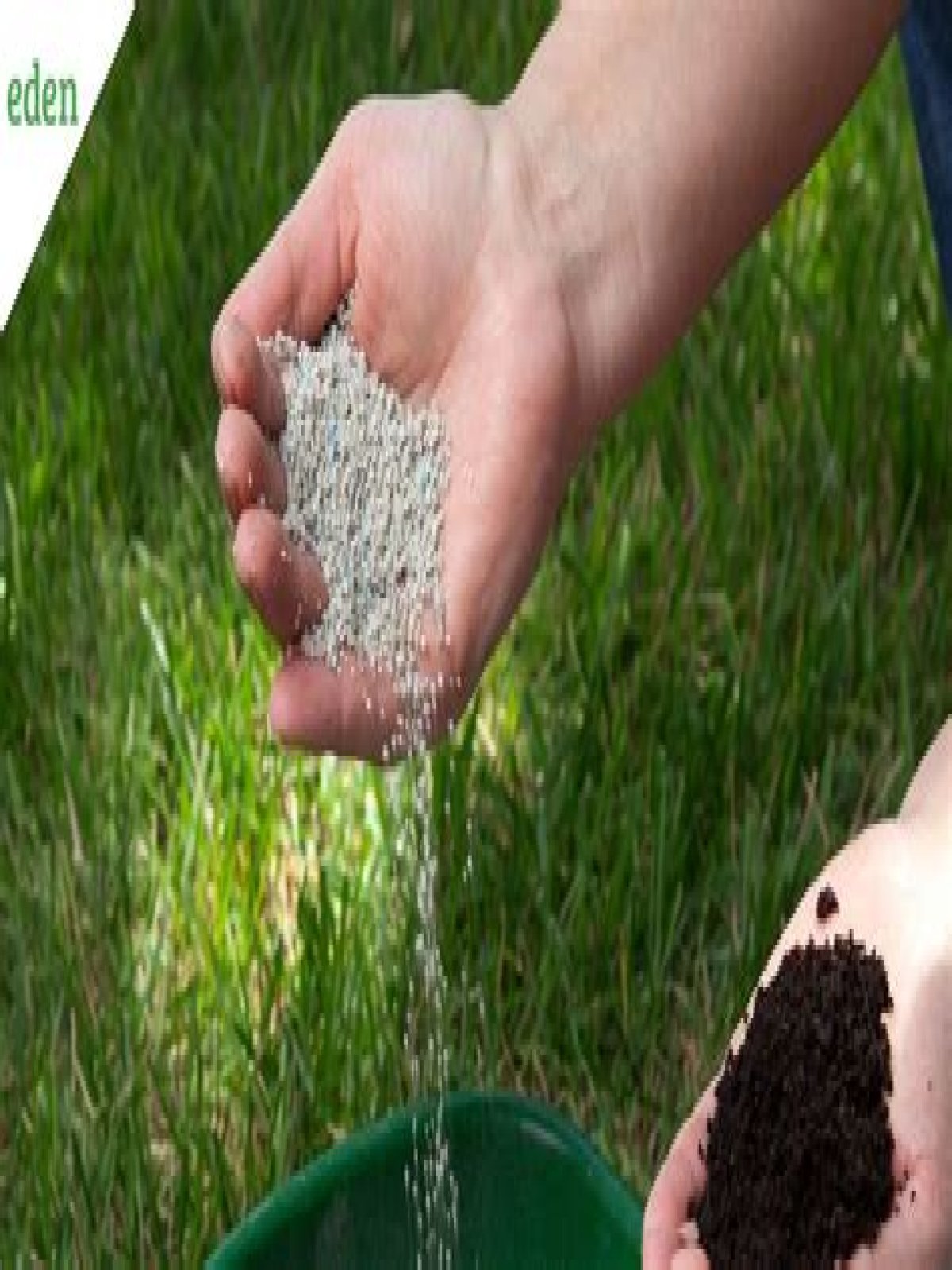 Is snow good fertilizer?
