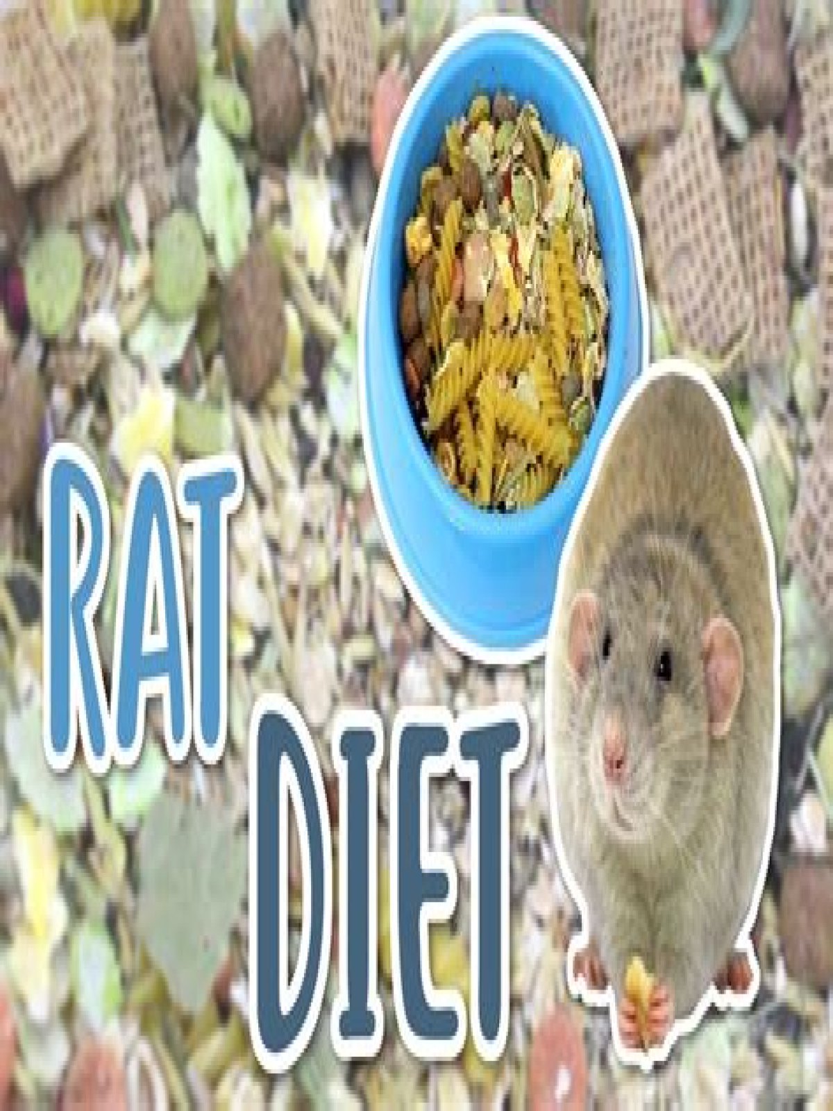 What are rats favorite food?