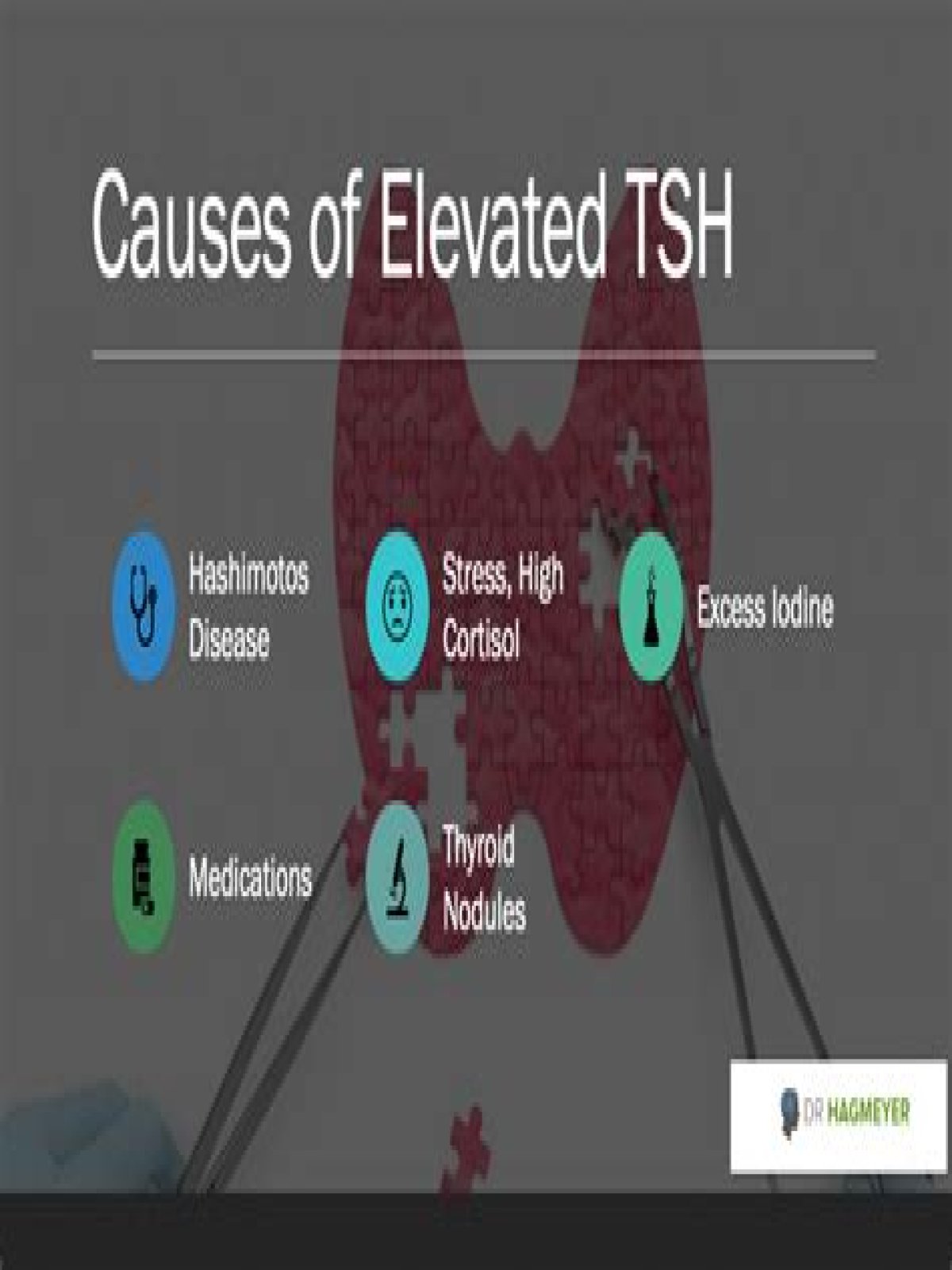 What causes TSH to rise?