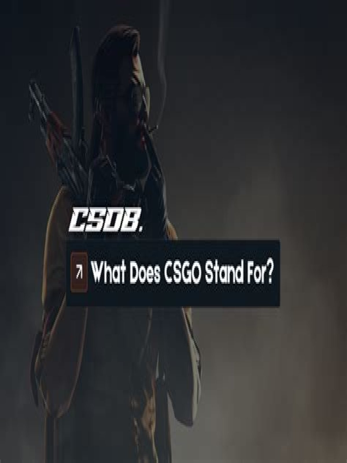 What does csgo stand for