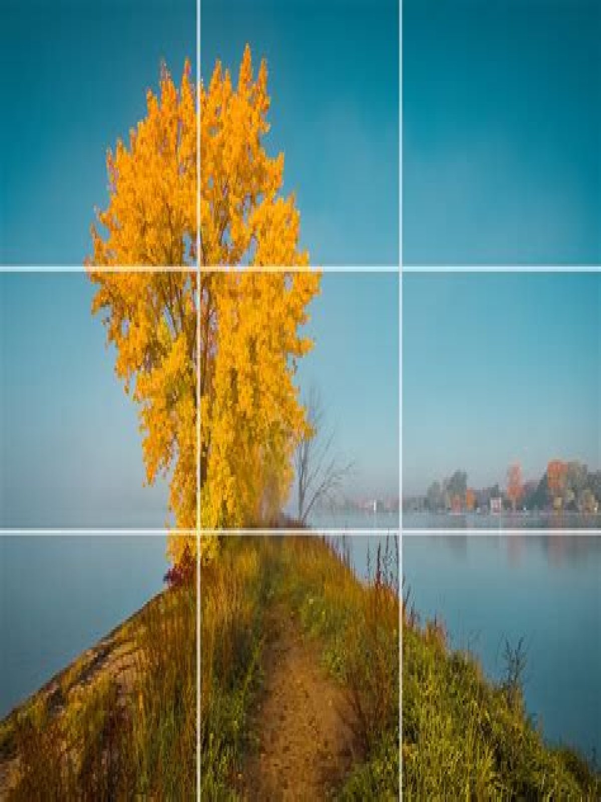 What is an example of the rule of third in photography?