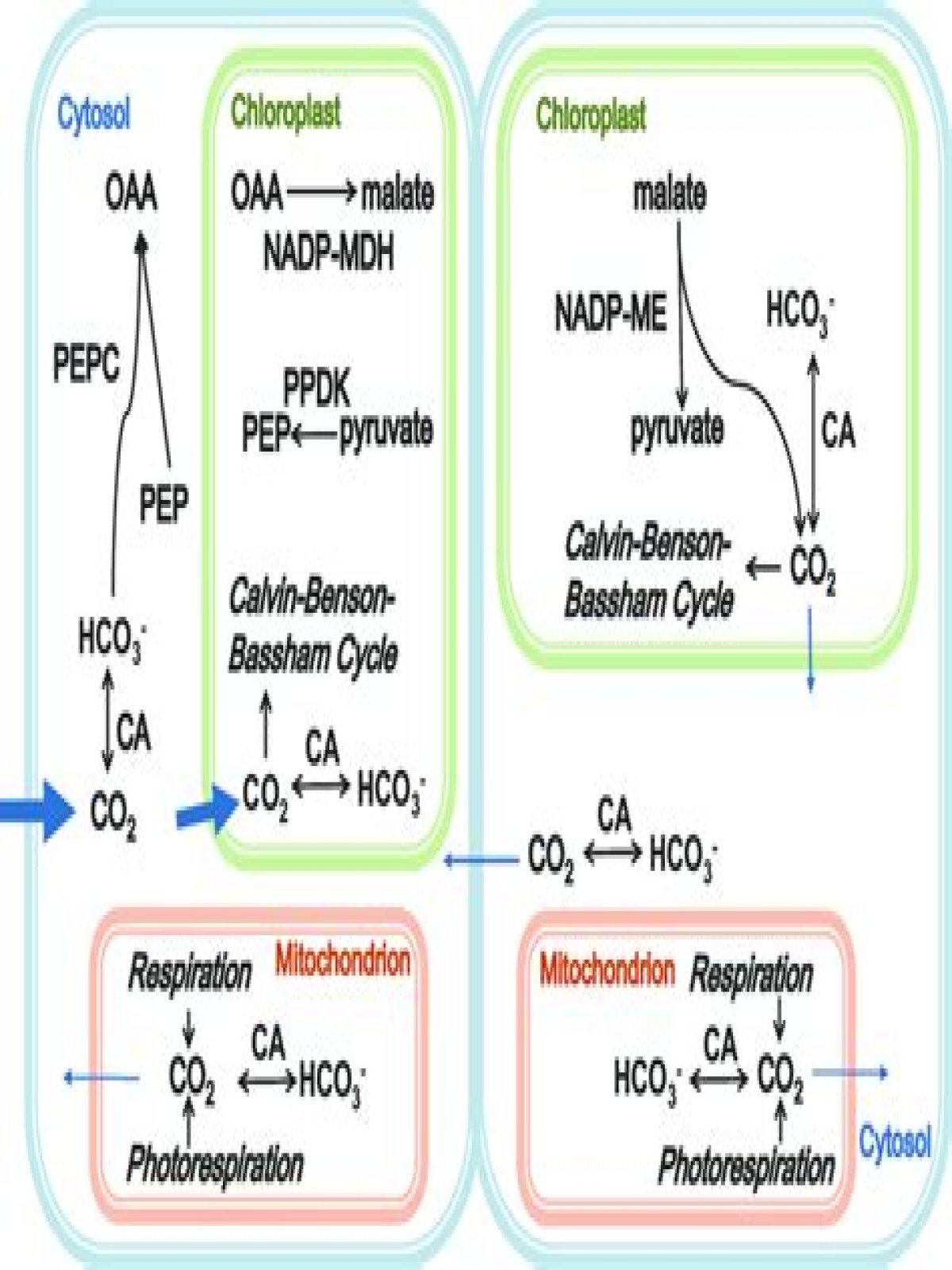 What is biochemical plant?