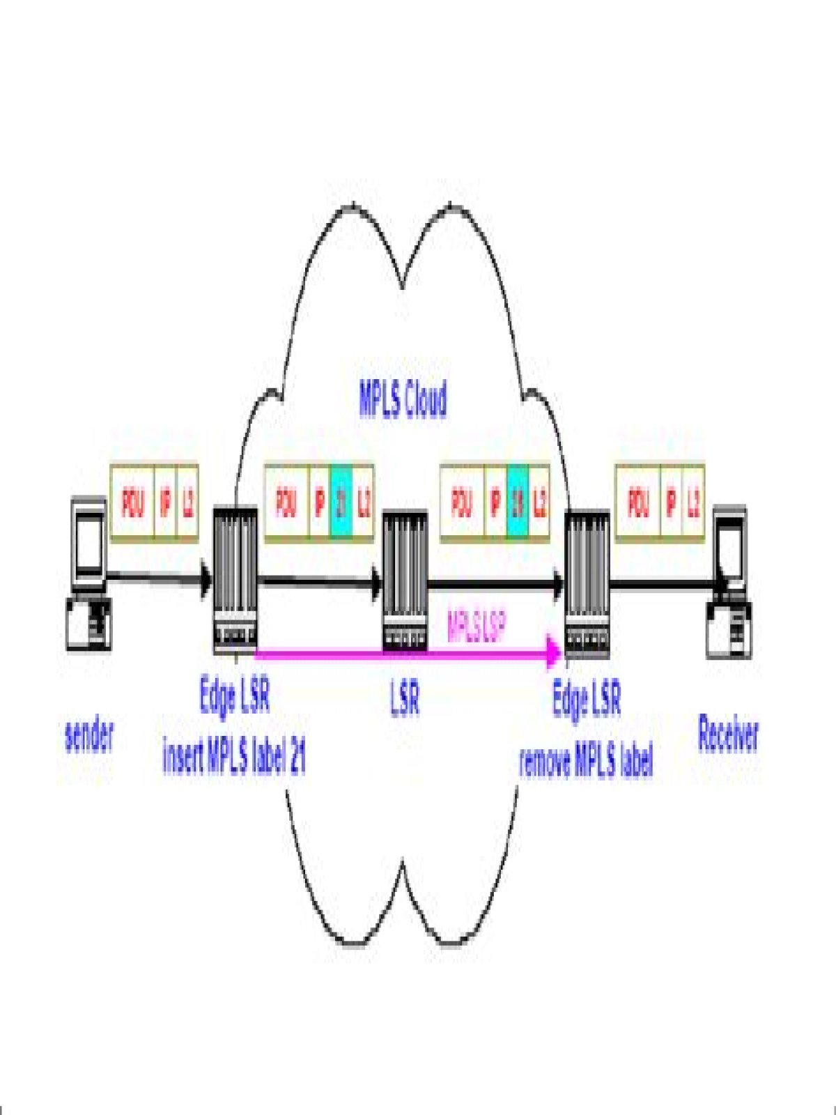 What is MPLS forwarding?