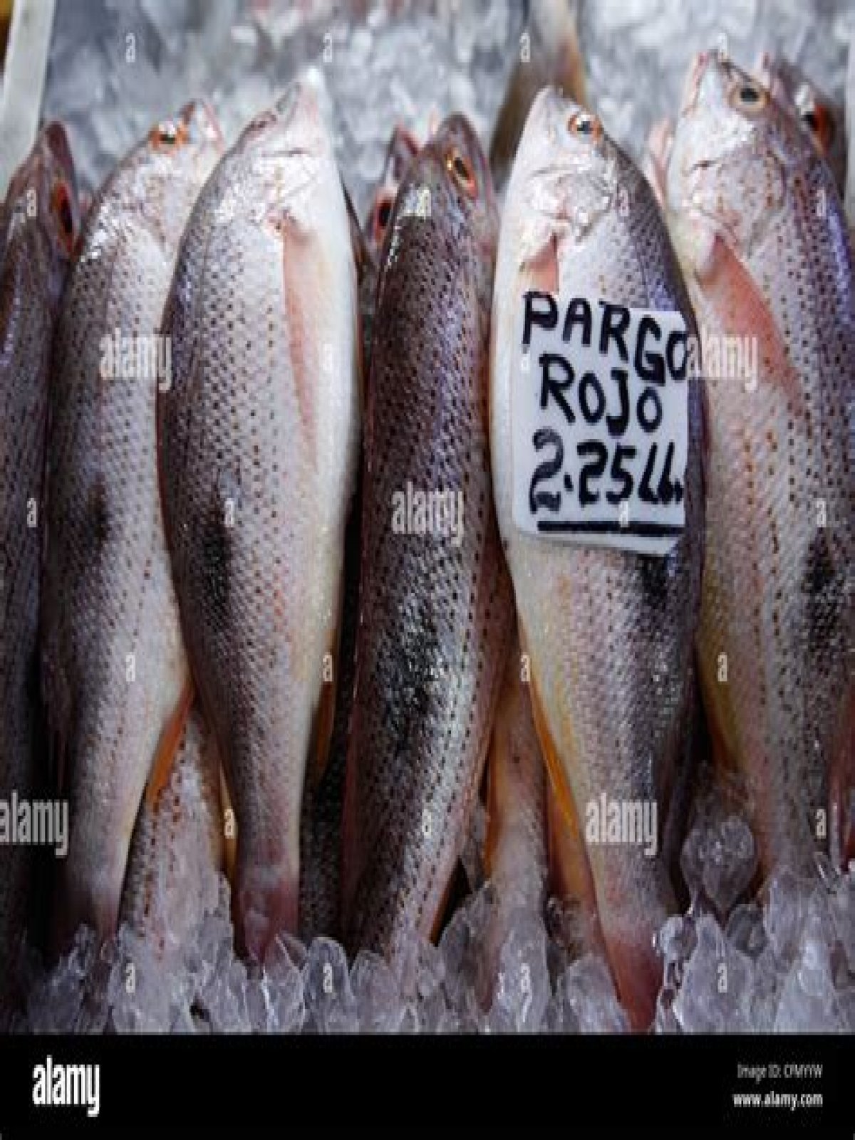 Whats pargo in english?