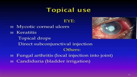 Which drugs is used for corneal ulcer?