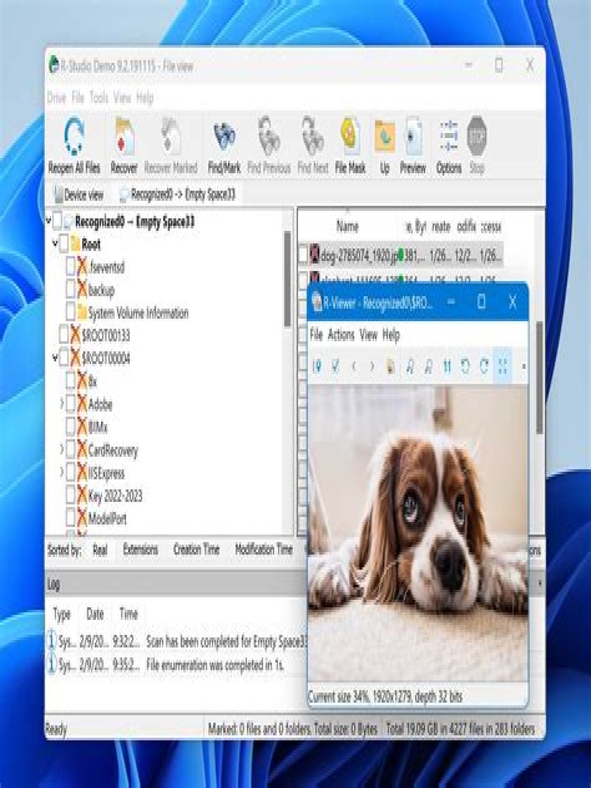 Which recovery software is best?
